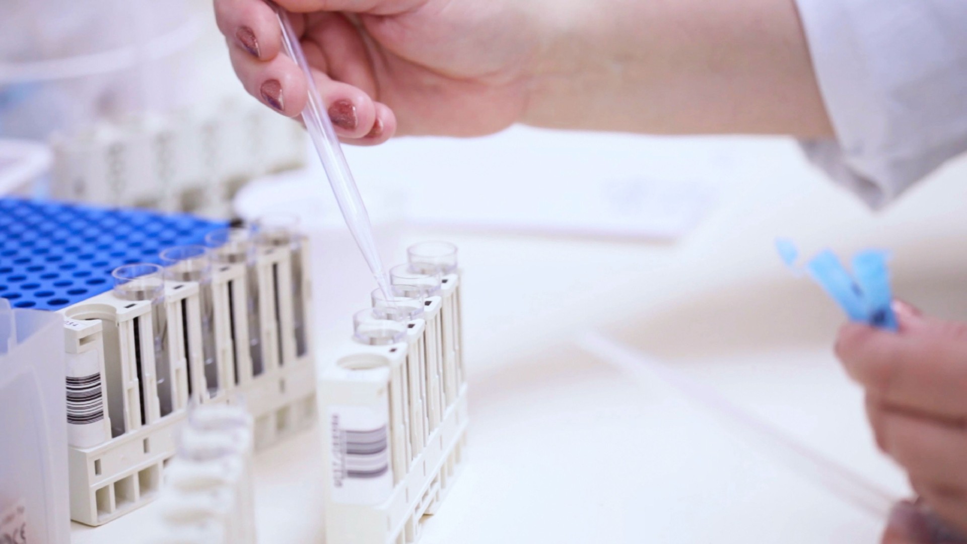Scientist Pipetting into Test Tubes